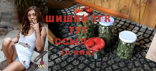 гашик Арсеньев