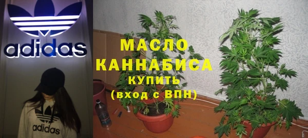 гашик Арсеньев