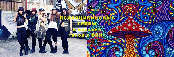 прущий лед Армянск