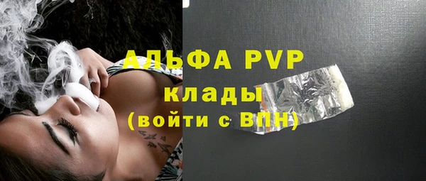 гашик Арсеньев
