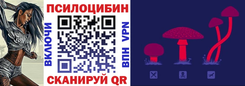 Псилоцибиновые грибы GOLDEN TEACHER  купить наркотик  Семилуки 
